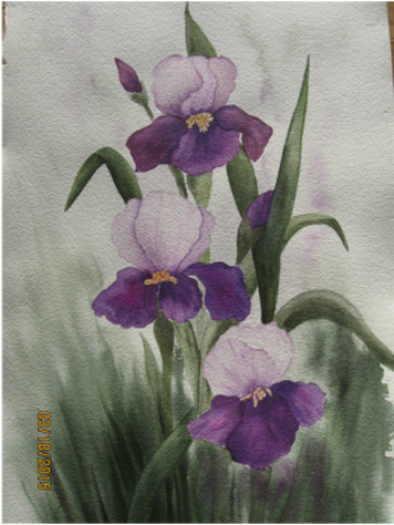 Picture
